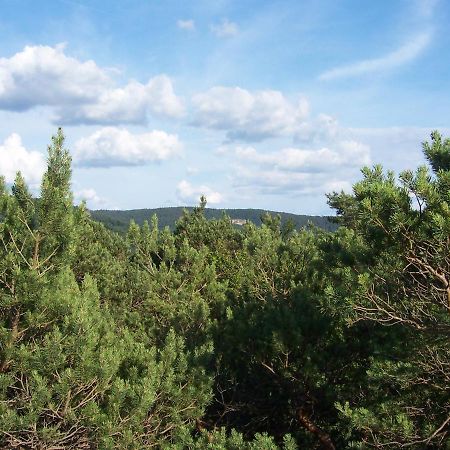 Ferienwohnung Am Pfaffenfels Schönau Buitenkant foto