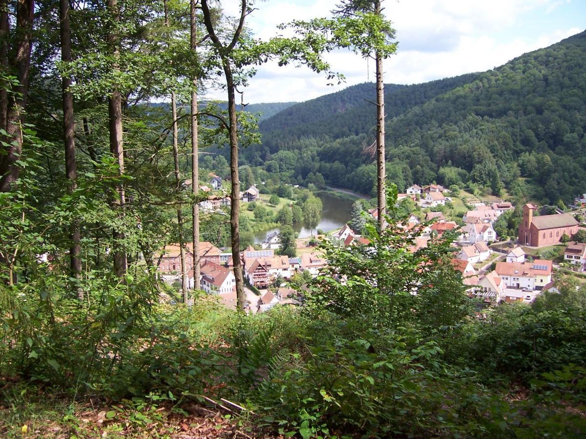 Ferienwohnung Am Pfaffenfels Schönau Buitenkant foto